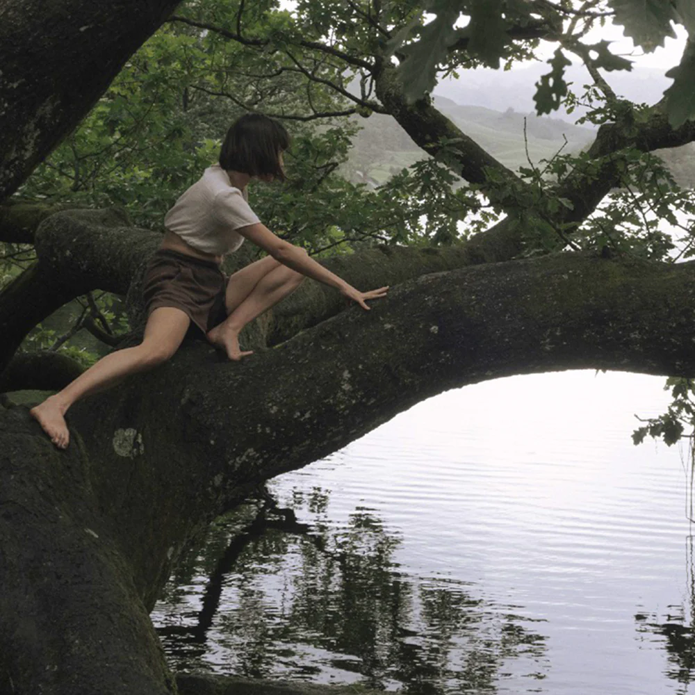 Climbing Trees Room Diffuser - Image 3