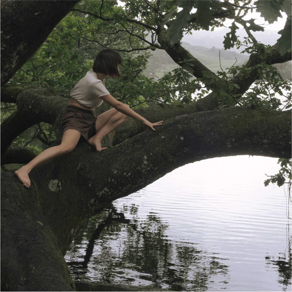 Climbing Trees Room Diffuser Refill - Image 3