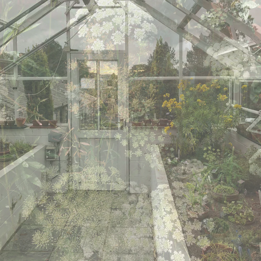 Greenhouse Room Diffuser - Image 3
