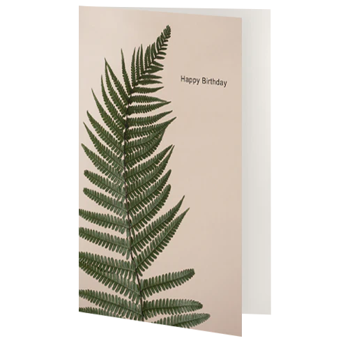 Greetings Card - Birthday Fern